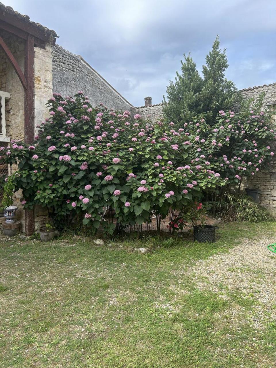 Chambres Et Table D'Hotes Maison Garesche Nieulle-sur-Seudre Bagian luar foto